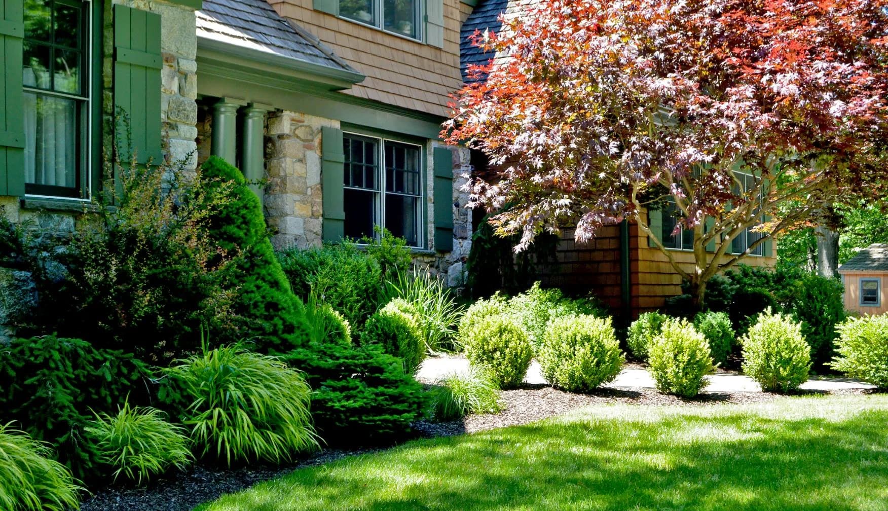 Tree & Shrub Planting Services in High Point, NC