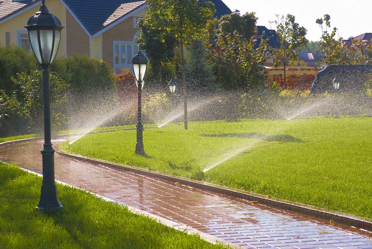 Irrigation System Installation in Murphy project 1