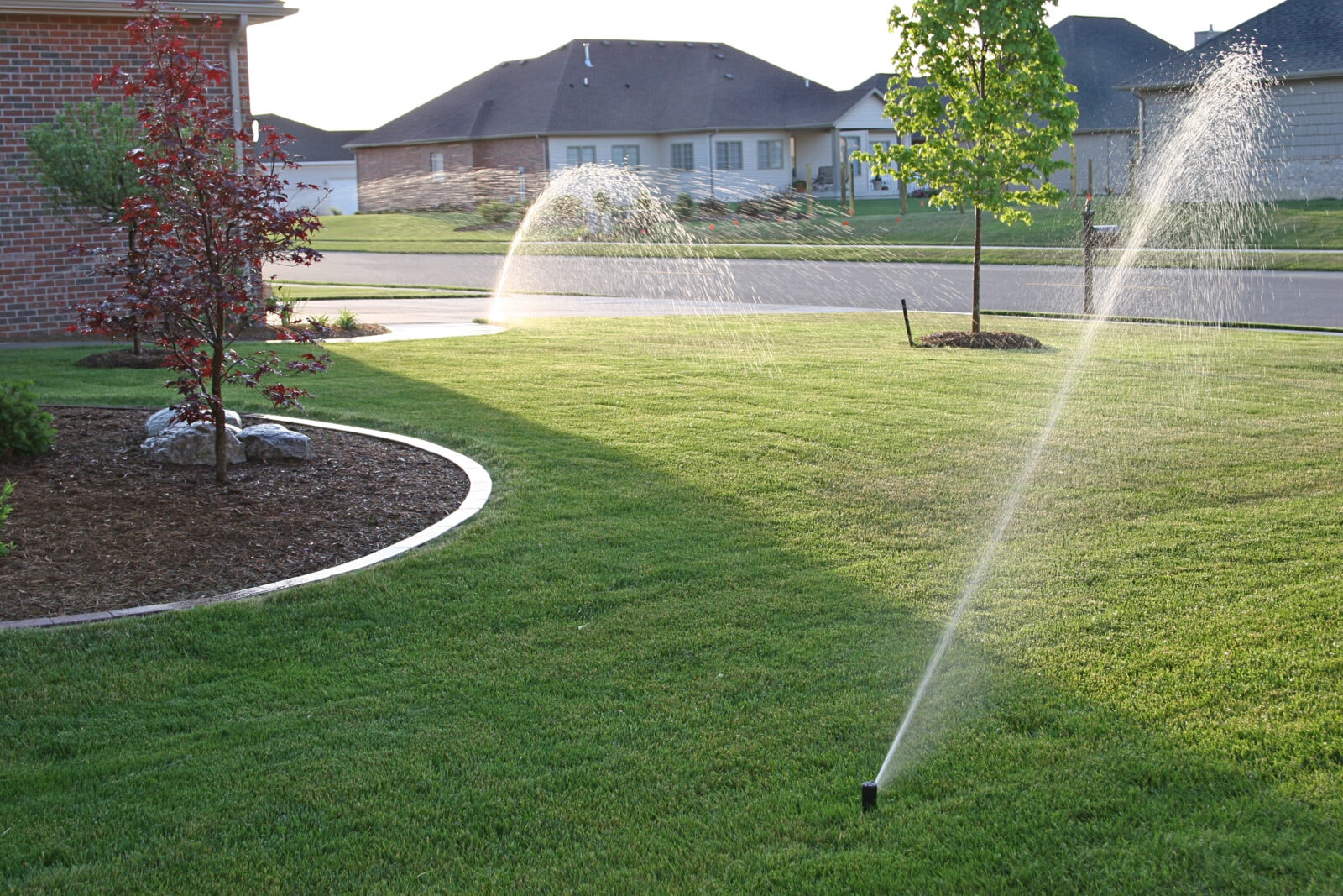 Irrigation System Installation in Murphy project 3
