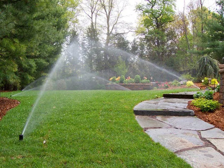 Irrigation System Installation in Murphy project 5