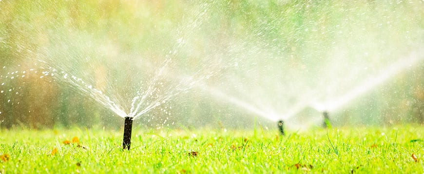 Irrigation System Installation in Murphy project 6