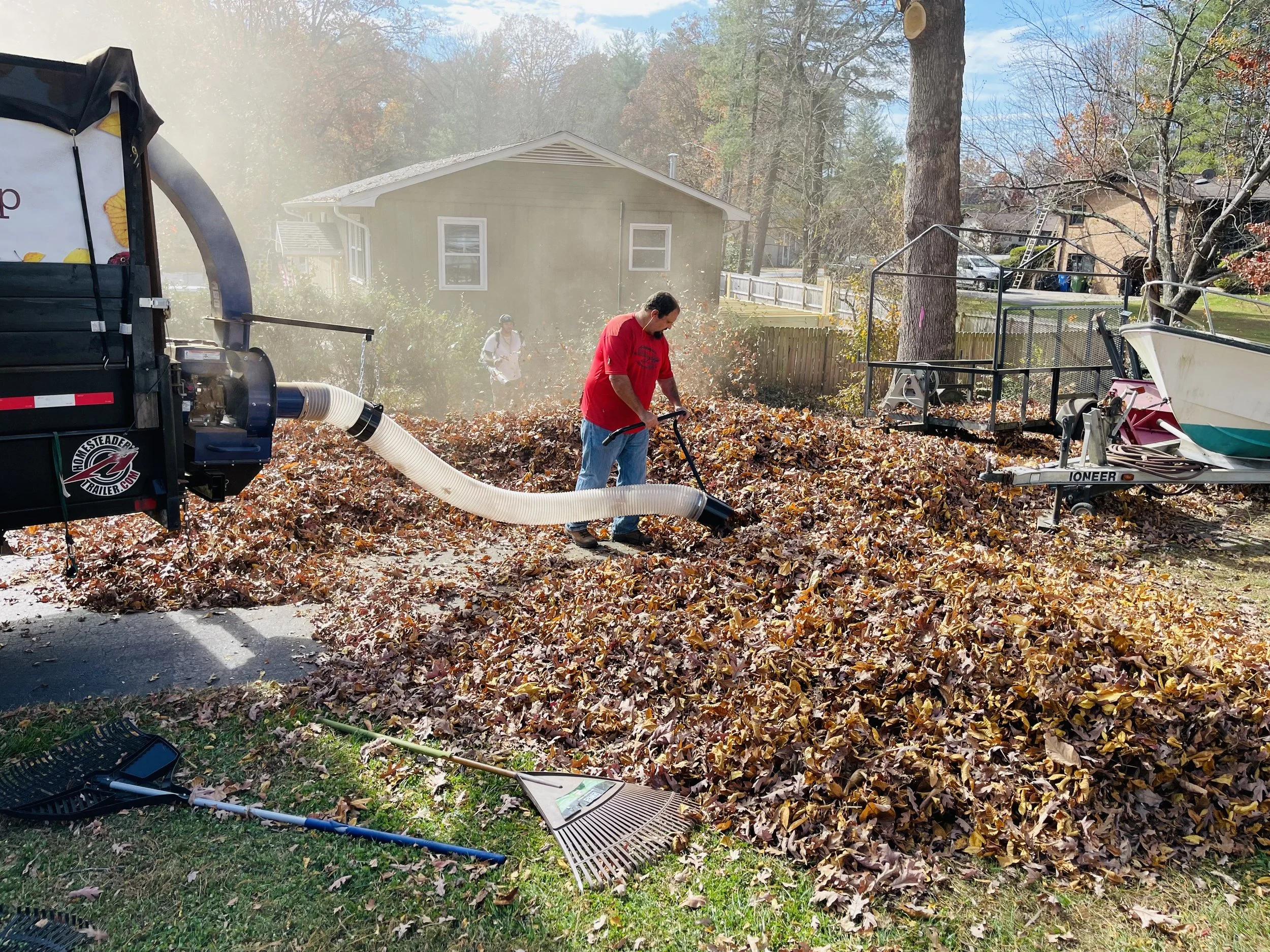 Leaf Removal in Plano project 1