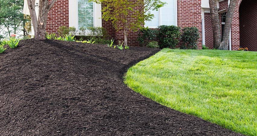 Mulch Installation in Murphy project 2