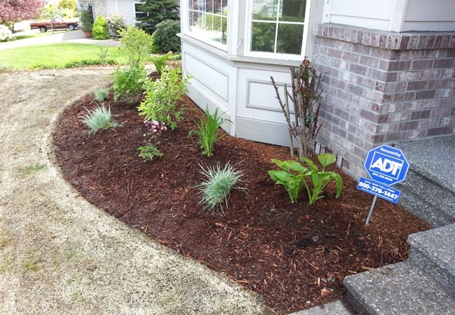 Mulch Installation in Murphy project 3