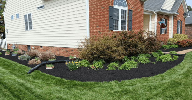 Mulch Installation in Murphy project 4