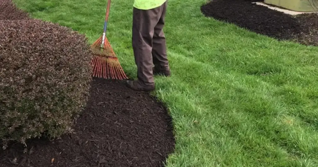 Mulch Installation in Murphy project 7