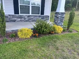 Tree & Shrub Planting in Arden project 5