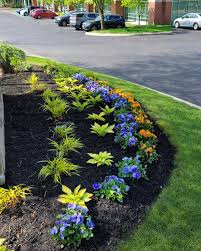 Tree & Shrub Planting in Arden project 7