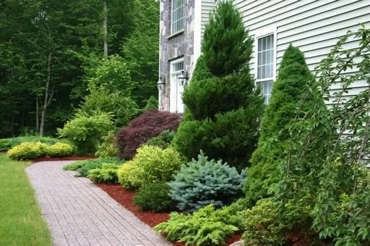 Tree & Shrub Planting in Arden project 9