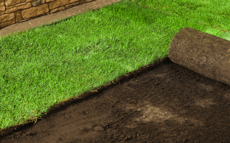 Sod Installation in Fletcher project 1