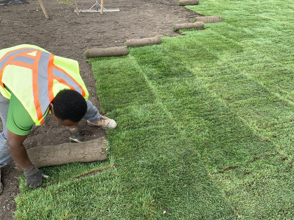 Sod Installation in Fletcher project 2