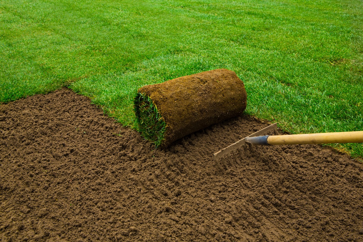 Sod Installation in Fletcher project 3