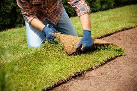 Sod Installation in Fletcher project 4
