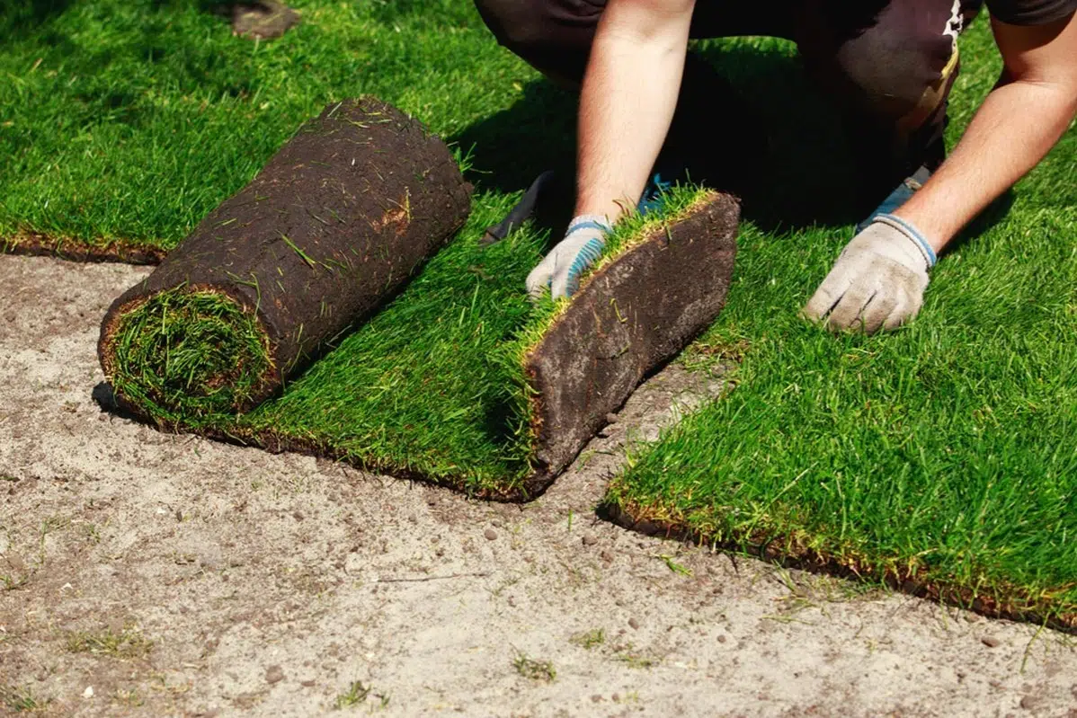 Sod Installation in Fletcher project 5