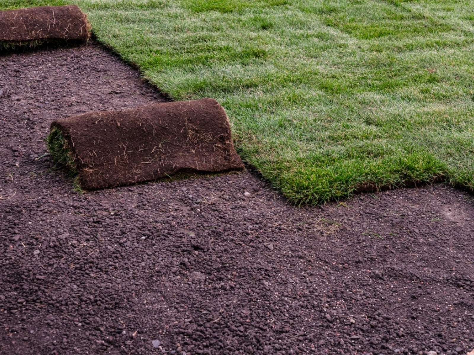 Sod Installation in Fletcher project 6
