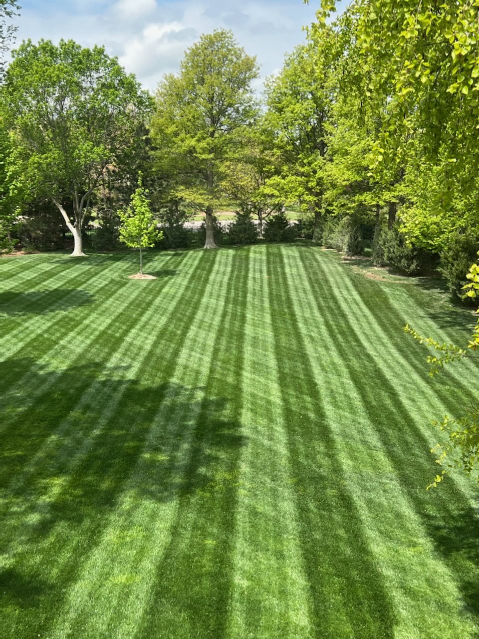 Lawn Mowing in Trinity